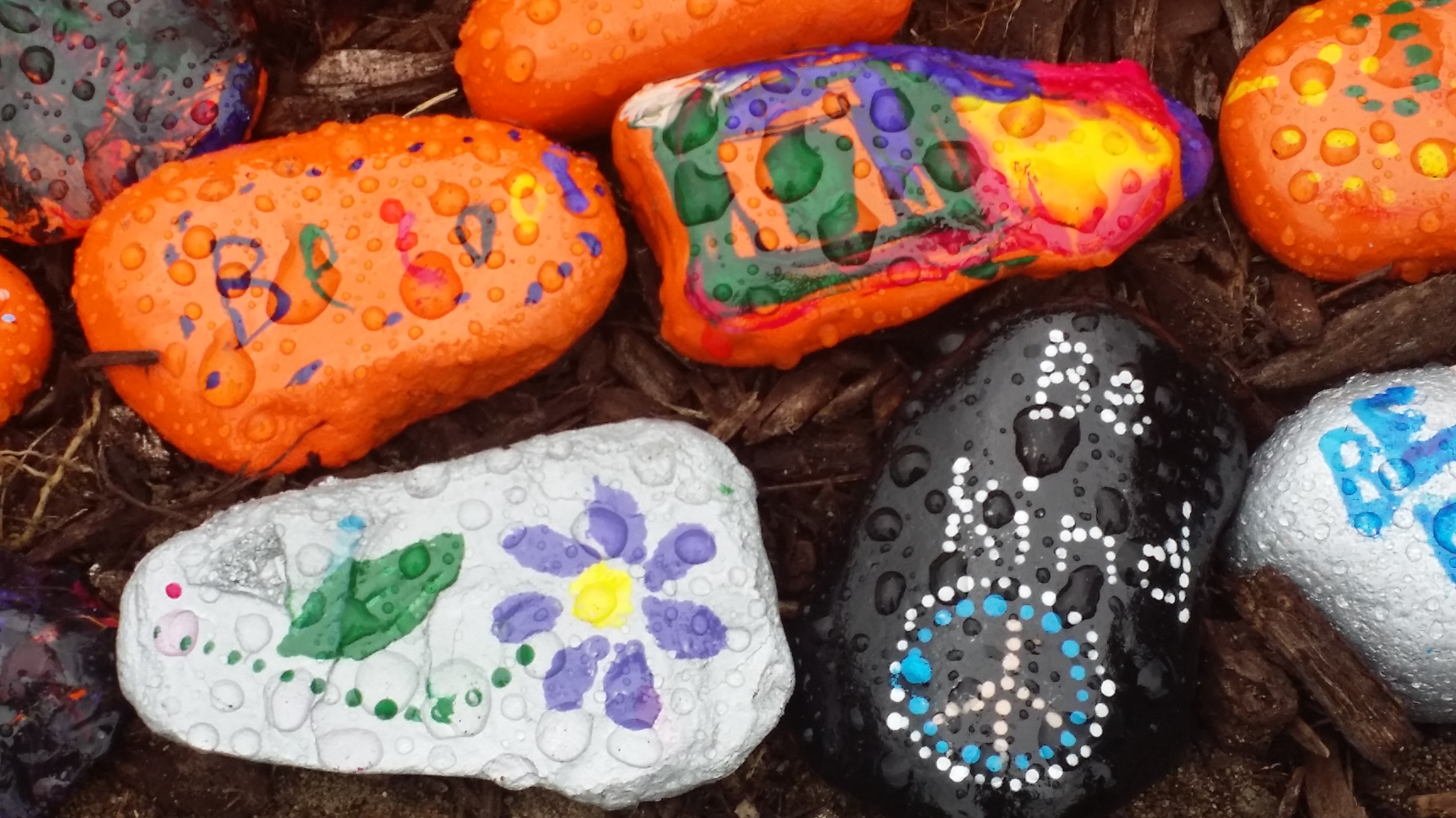 Kindness Rock 1